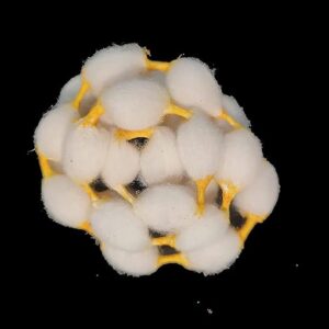 mch cotton vastramala or gejje vastra or kapus vastra (turmeric) (set of 5 vastramalas and each of 18 gantu (knots)