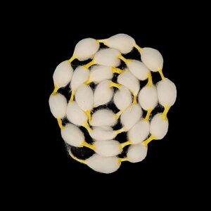 mch cotton vastramala or gejje vastra or kapus vastra (set of 5 vastramalas and each of 25 gantu (knots)