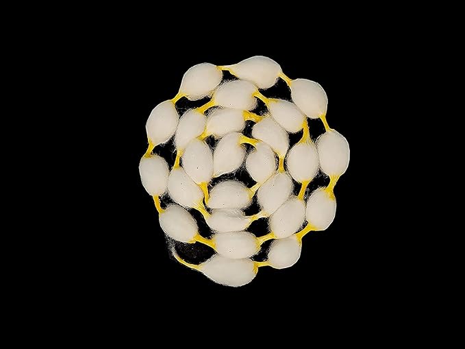 mch cotton vastramala or gejje vastra or kapus vastra (set of 5 vastramalas and each of 25 gantu (knots) mch cotton vastramala or gejje vastra or kapus vastra (set of 5 vastramalas and each of 25 gantu (knots)